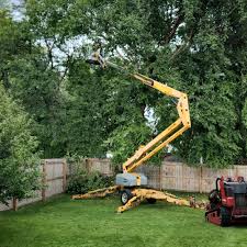 Reliable Center Point, AL Tree Removal Solutions